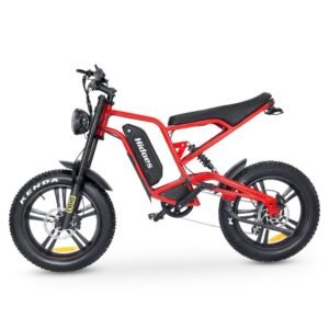 HIDOES B6 Electric Bike – 250W Motor, 48V Battery, Fat Tires for City & Mountain Adventures