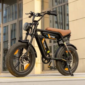 Hitway BK17 dual-battery electric bike with 250W motor and 20x4.0” tires